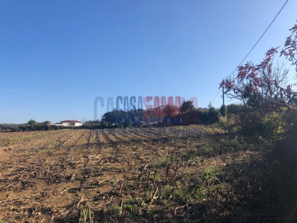 Terreno para Venda em Balazar Foto 10