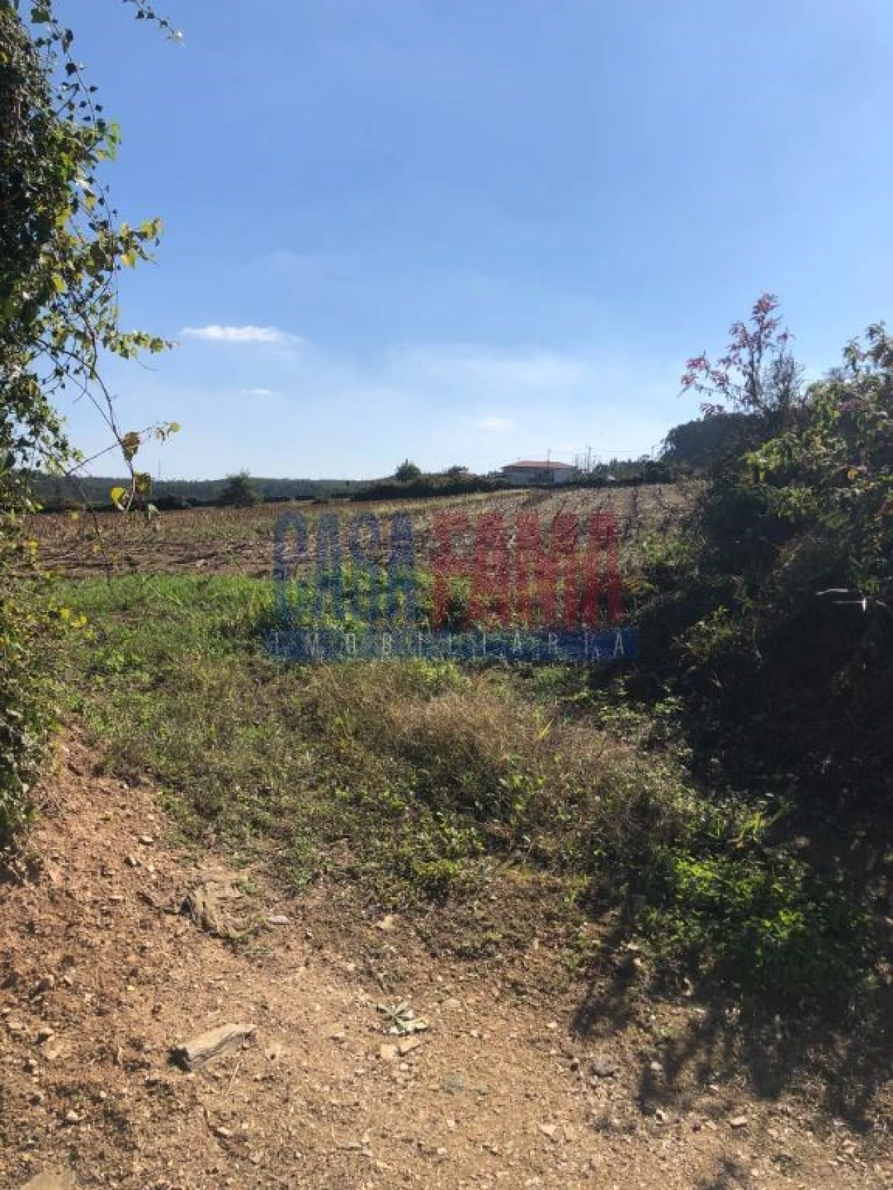 Terreno para Venda em Balazar Foto 14