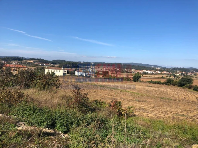 Terreno para Venda em Balazar Foto 2