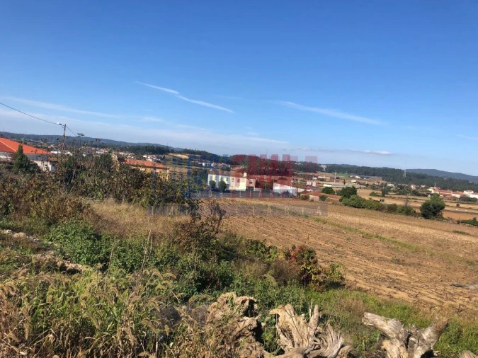 Terreno para Venda em Balazar Foto 4