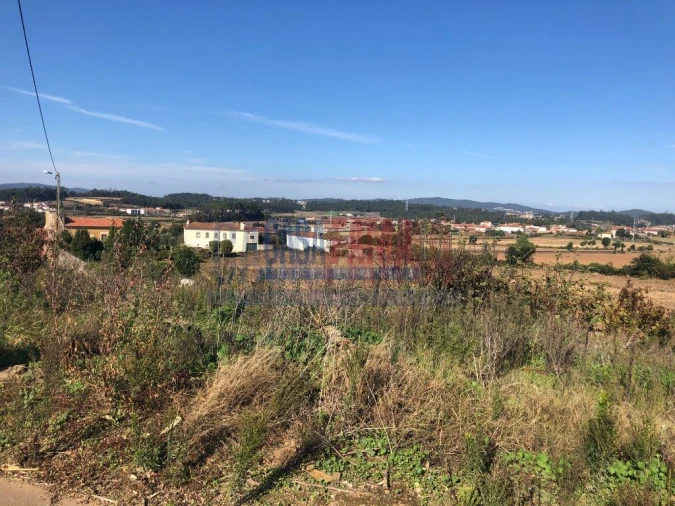 Terreno para Venda em Balazar Foto 6