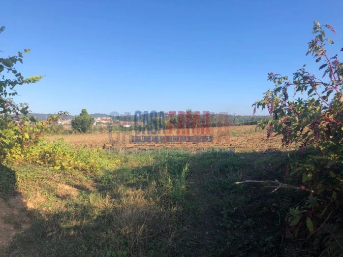 Terreno para Venda em Balazar Foto 7