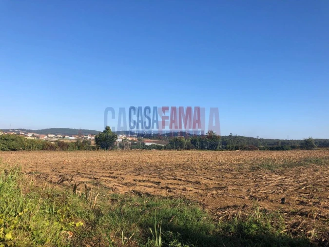 Terreno para Venda em Balazar Foto 8