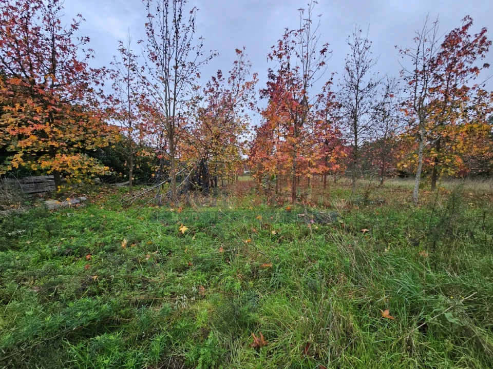 Quinta T6 para Venda em Bagunte, Ferreiró, Outeiro Maior e Parada Foto 17