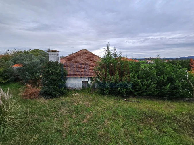 Quinta T6 para Venda em Bagunte, Ferreiró, Outeiro Maior e Parada Foto 19