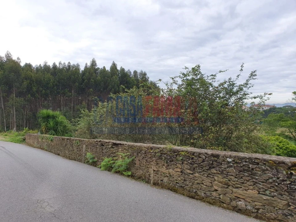 Terreno para Venda em Fradelos Foto 1