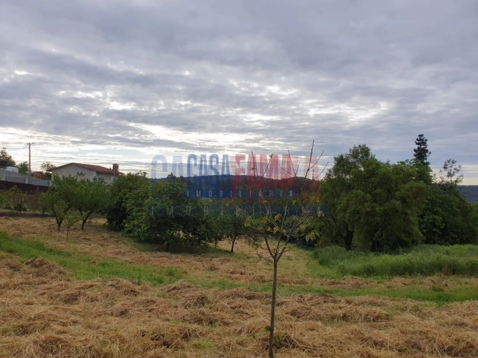 Terreno para Venda em Fradelos Foto 5