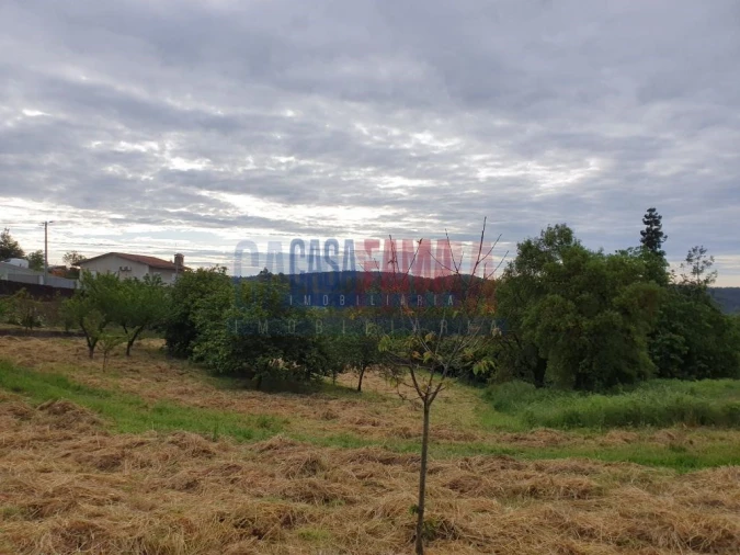 Terreno para Venda em Fradelos Foto 5