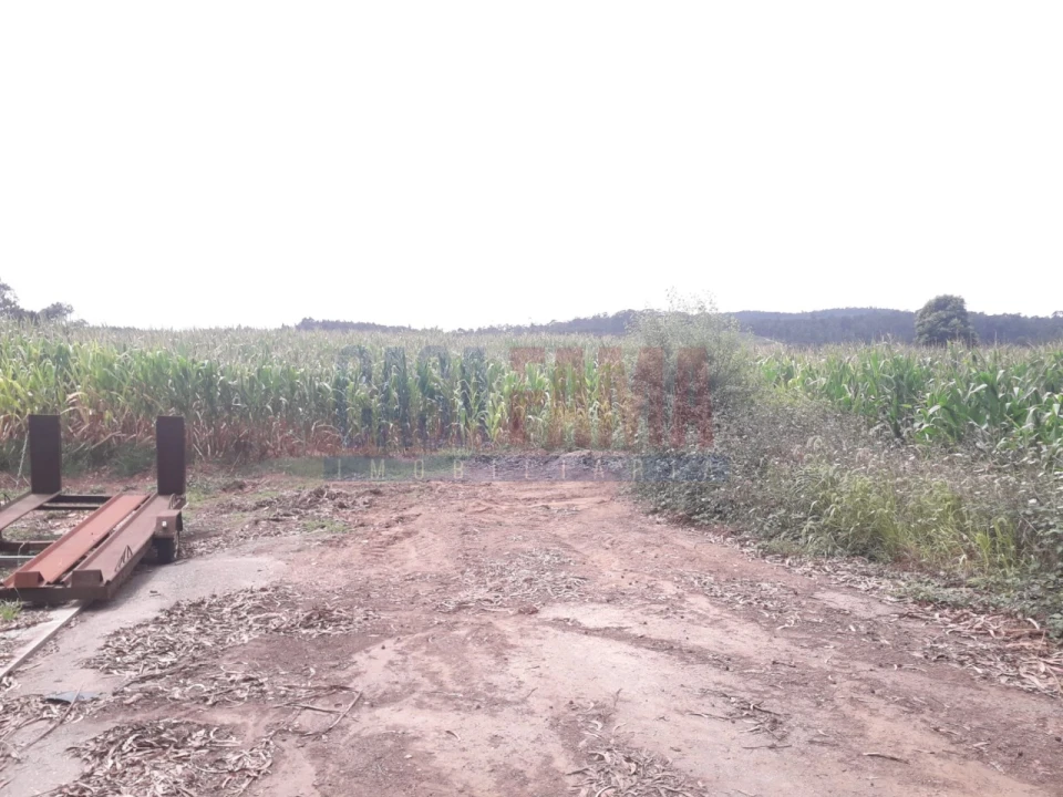 Terreno para Venda em Balazar Foto 4