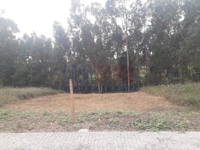 Terreno para Venda em Balazar Foto 2