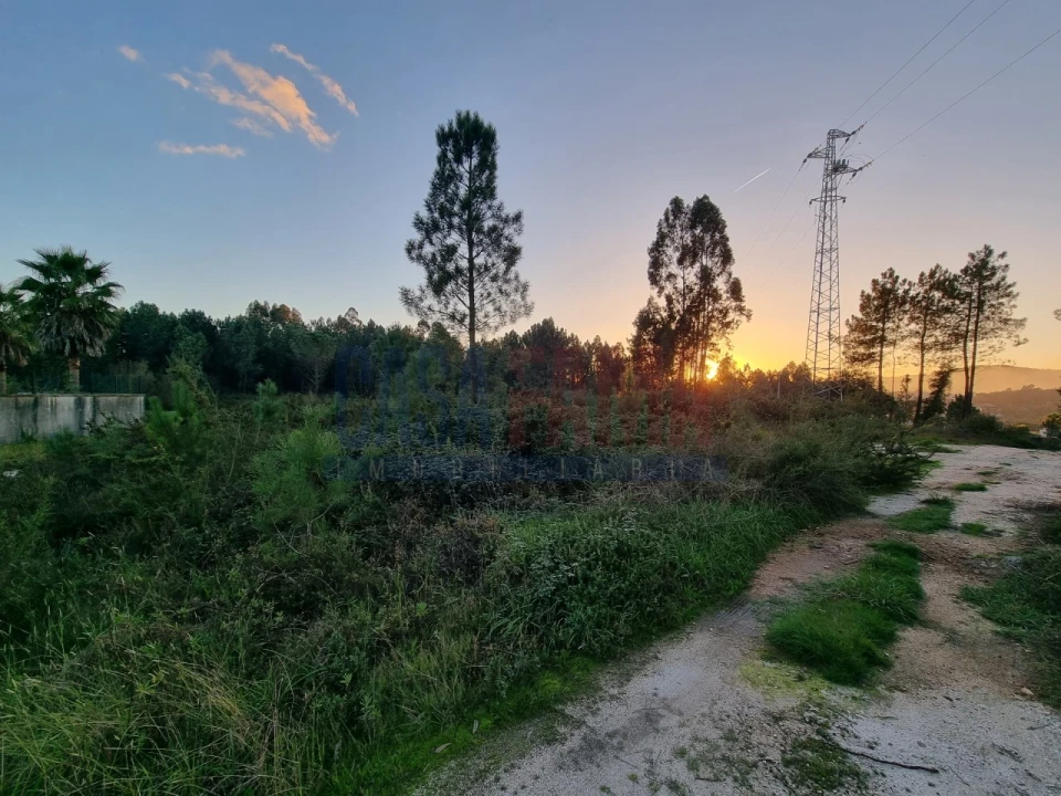Terreno para Venda em Ucha Foto 2
