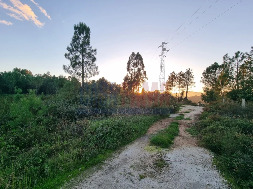 Terreno para Venda em Ucha Foto 3