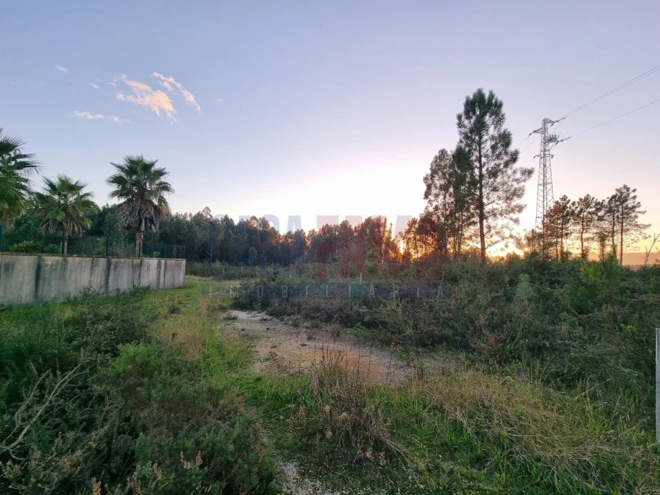 Terreno para Venda em Ucha Foto 4