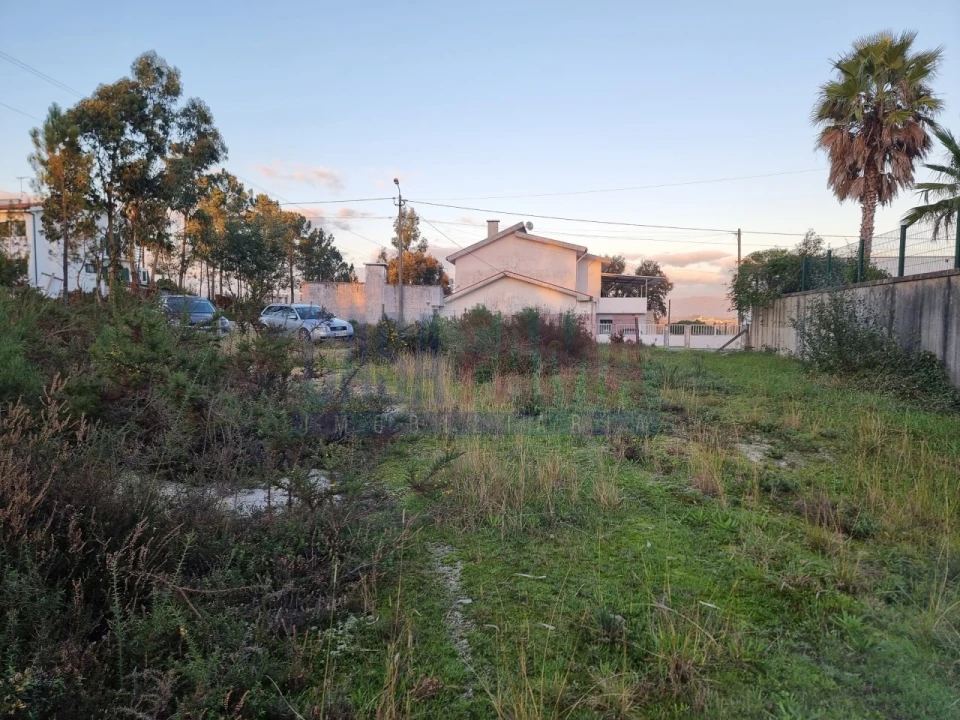 Terreno para Venda em Ucha Foto 8