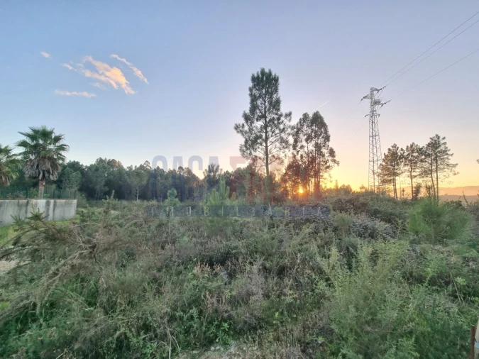 Terreno para Venda em Ucha Foto 1