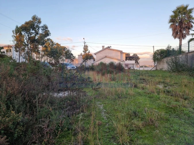 Terreno para Venda em Ucha Foto 9