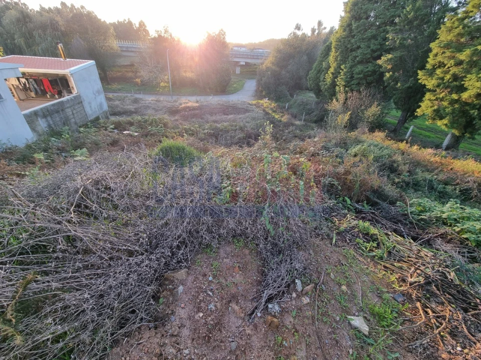 Terreno para Venda em Lama Foto 7