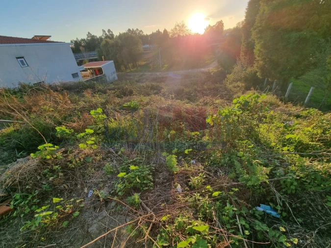 Terreno para Venda em Lama Foto 6