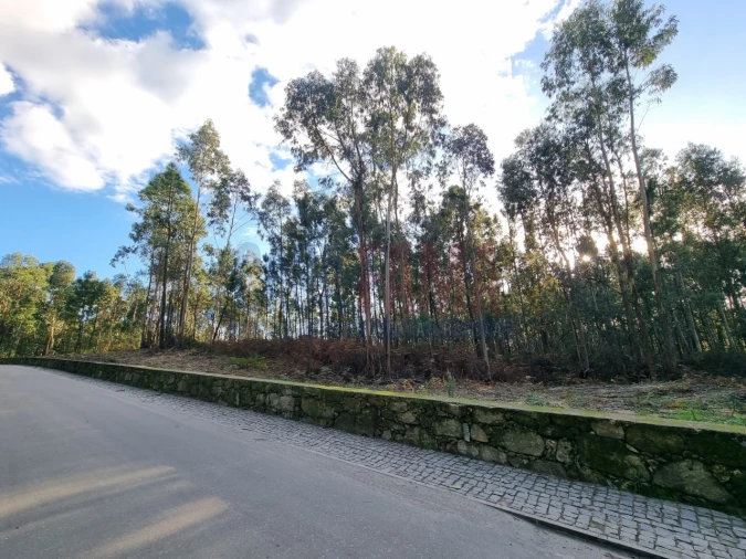 Terreno para Venda em Alvelos Foto 4