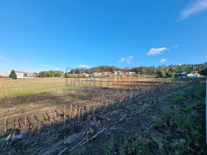 Terreno para Venda em Alvelos Foto 7