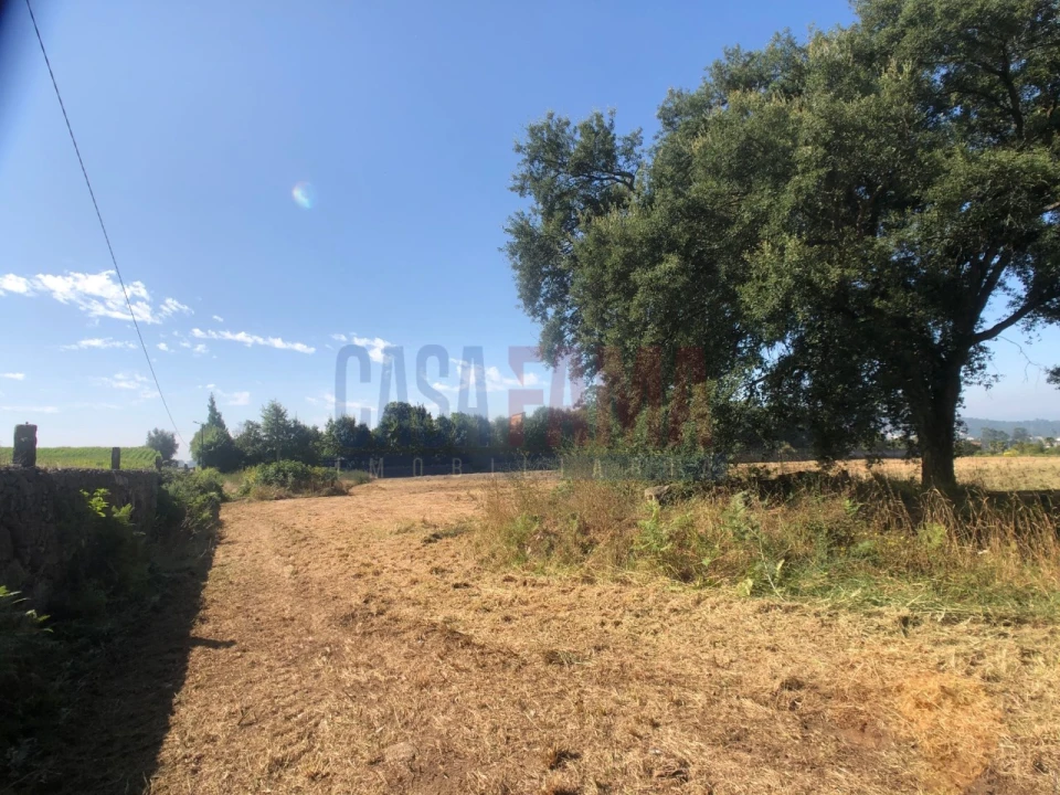 Terreno para Venda em Alvelos Foto 4