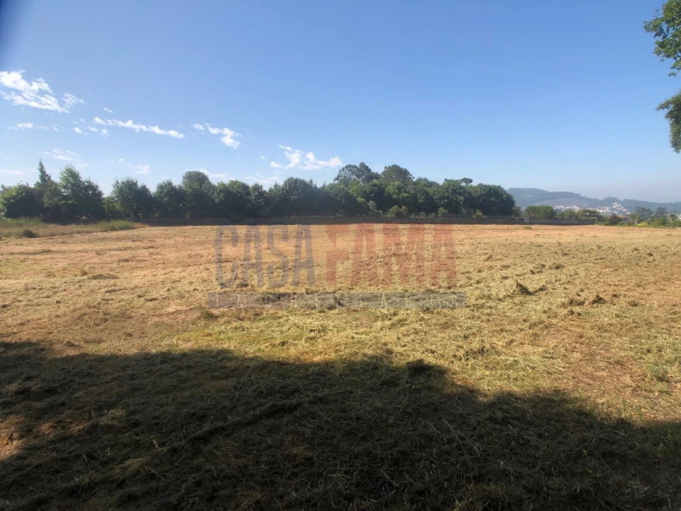 Terreno para Venda em Alvelos Foto 6