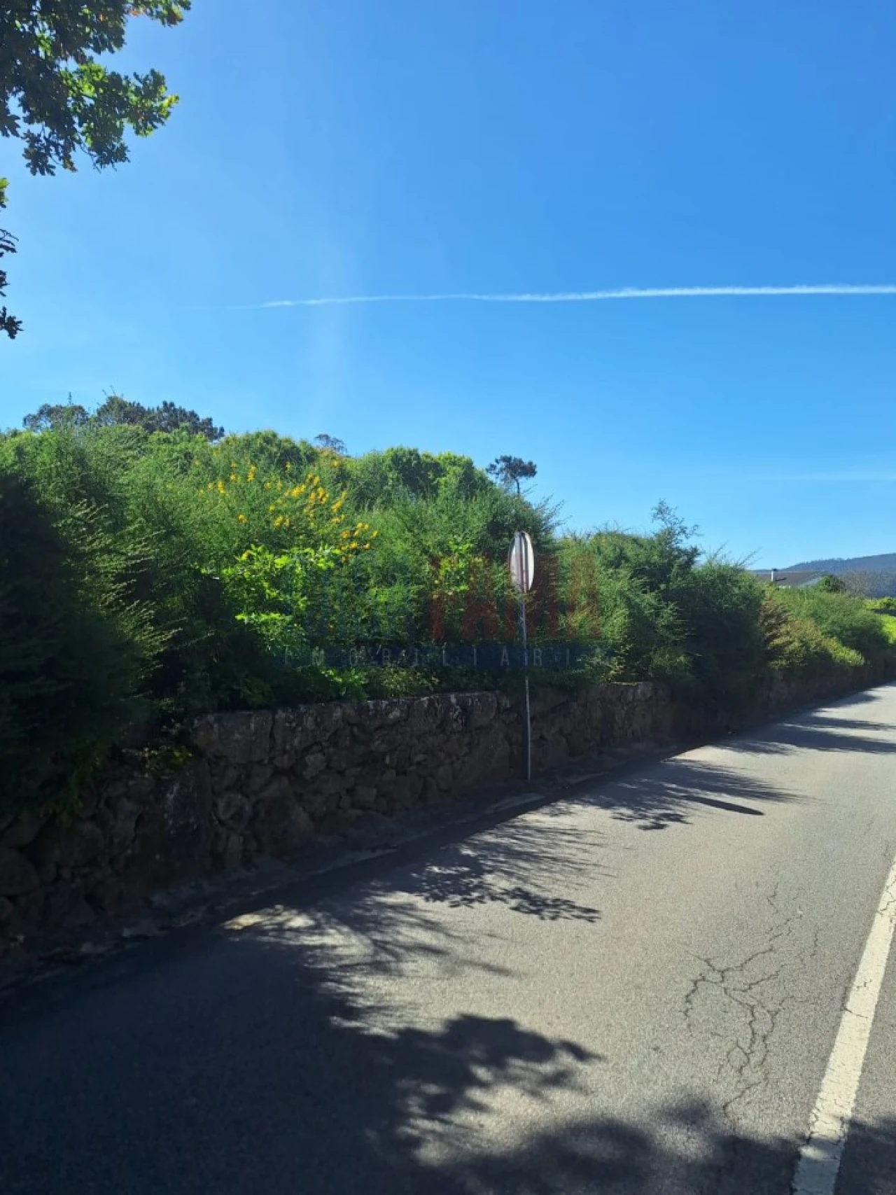 Terreno para Venda em Alvelos Foto 11