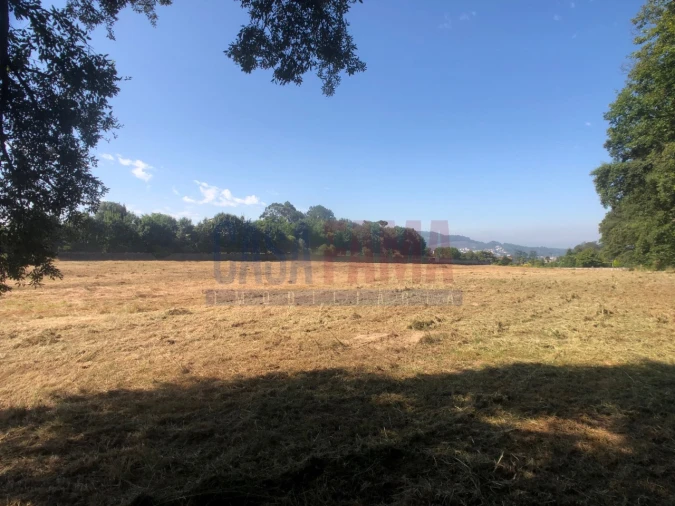 Terreno para Venda em Alvelos Foto 3