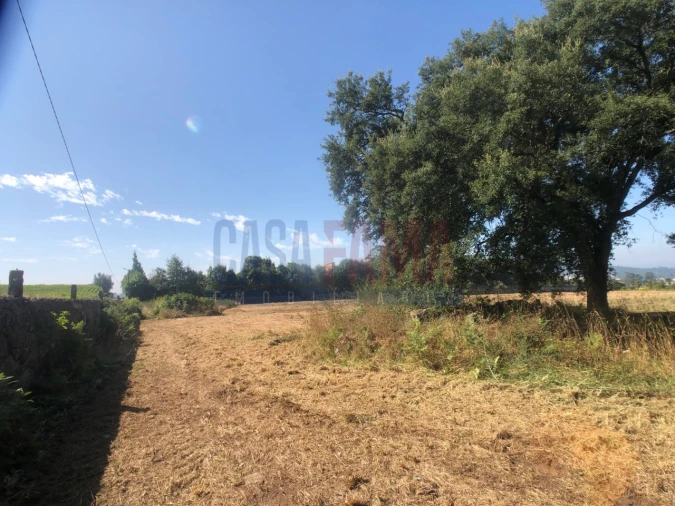 Terreno para Venda em Alvelos Foto 4