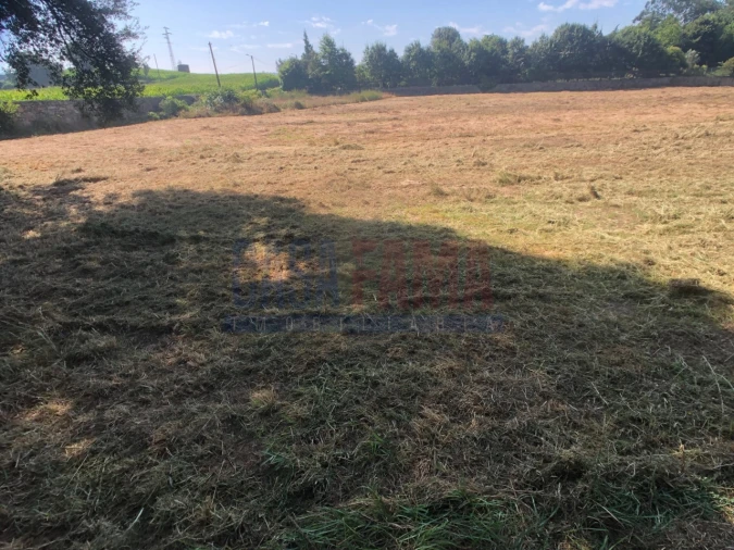 Terreno para Venda em Alvelos Foto 7