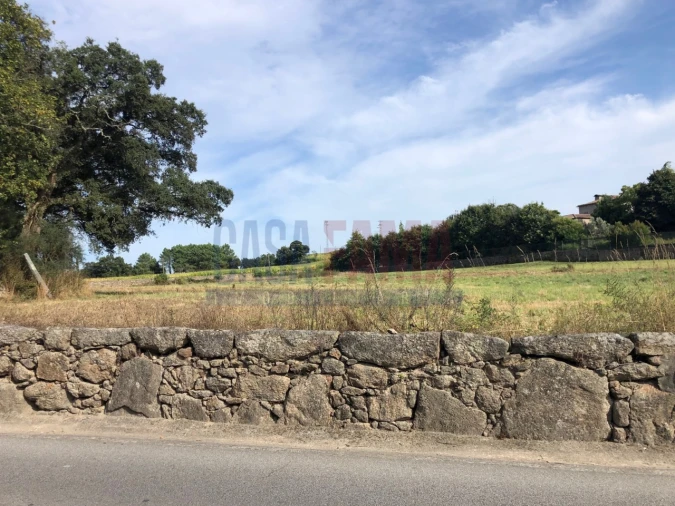 Terreno para Venda em Alvelos Foto 8