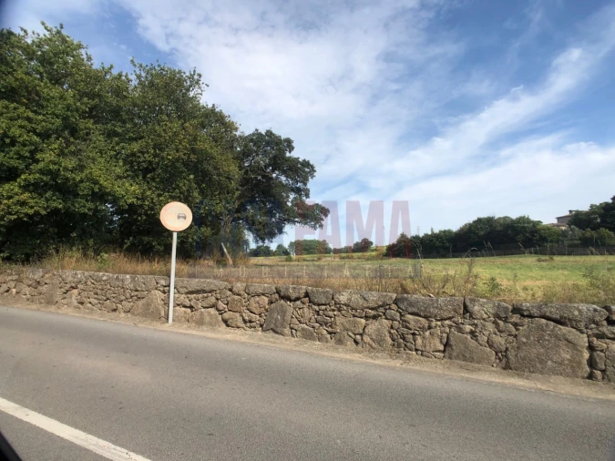 Terreno para Venda em Alvelos Foto 9