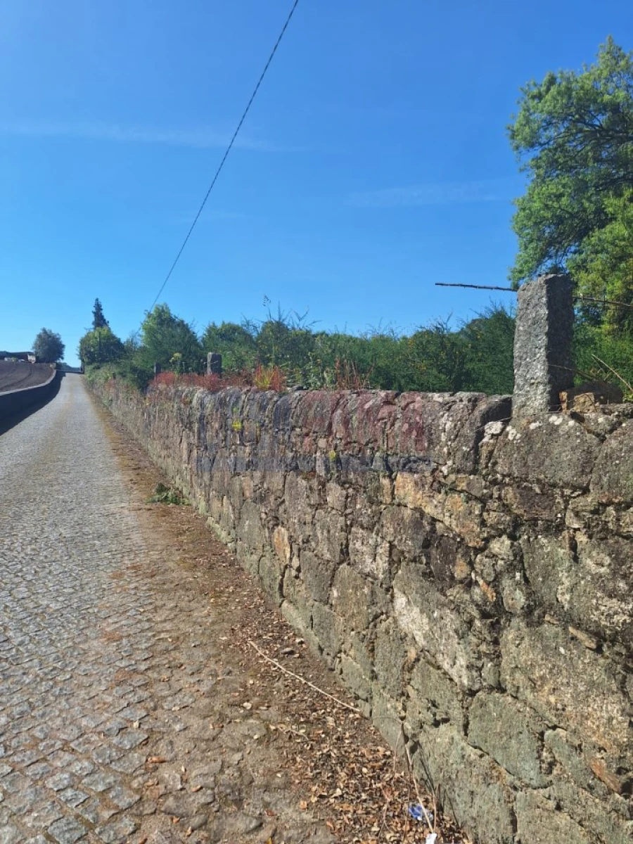 Terreno para Venda em Alvelos Foto 12