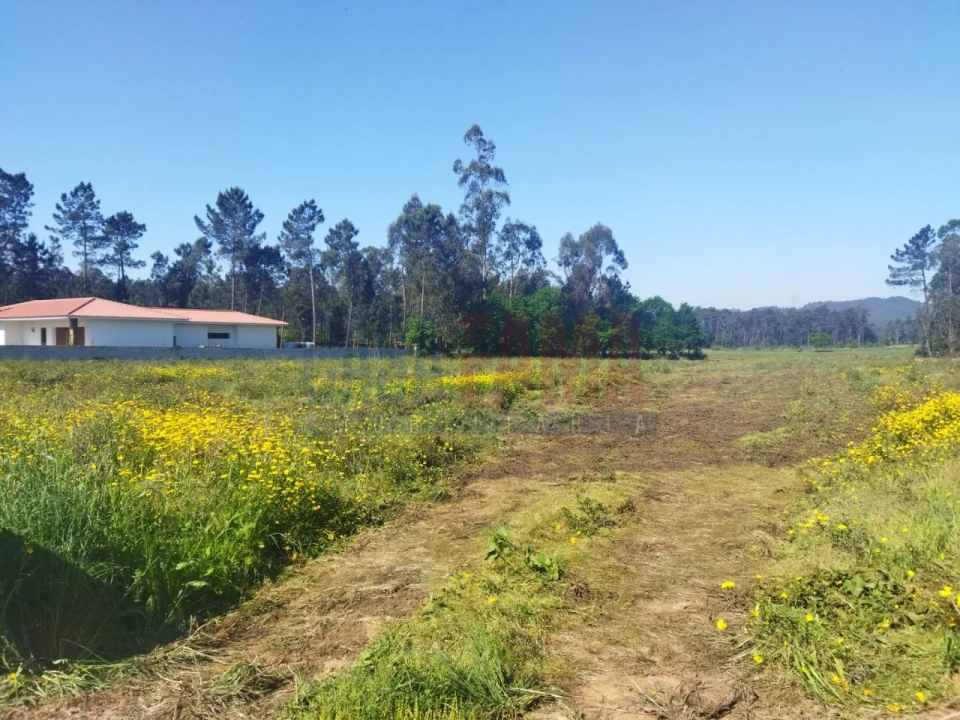 Terreno para Venda em Fradelos Foto 3