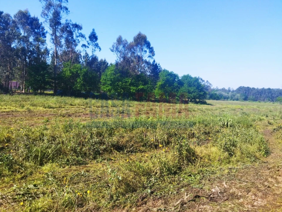 Terreno para Venda em Fradelos Foto 5