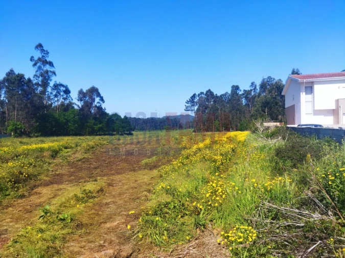 Terreno para Venda em Fradelos Foto 2