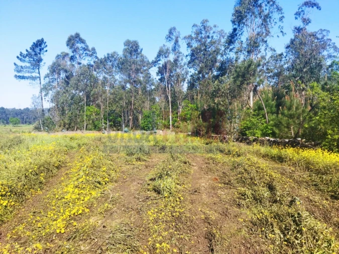 Terreno para Venda em Fradelos Foto 4