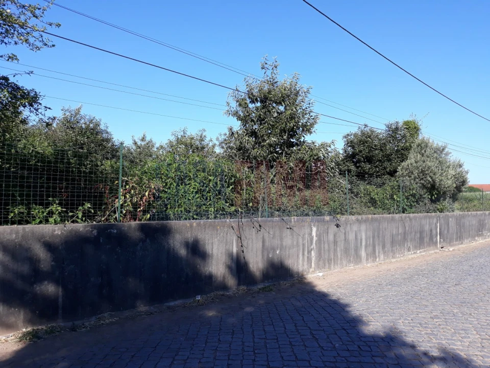 Terreno para Venda em Balazar Foto 1