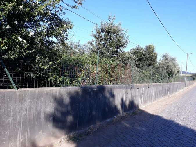 Terreno para Venda em Balazar Foto 2