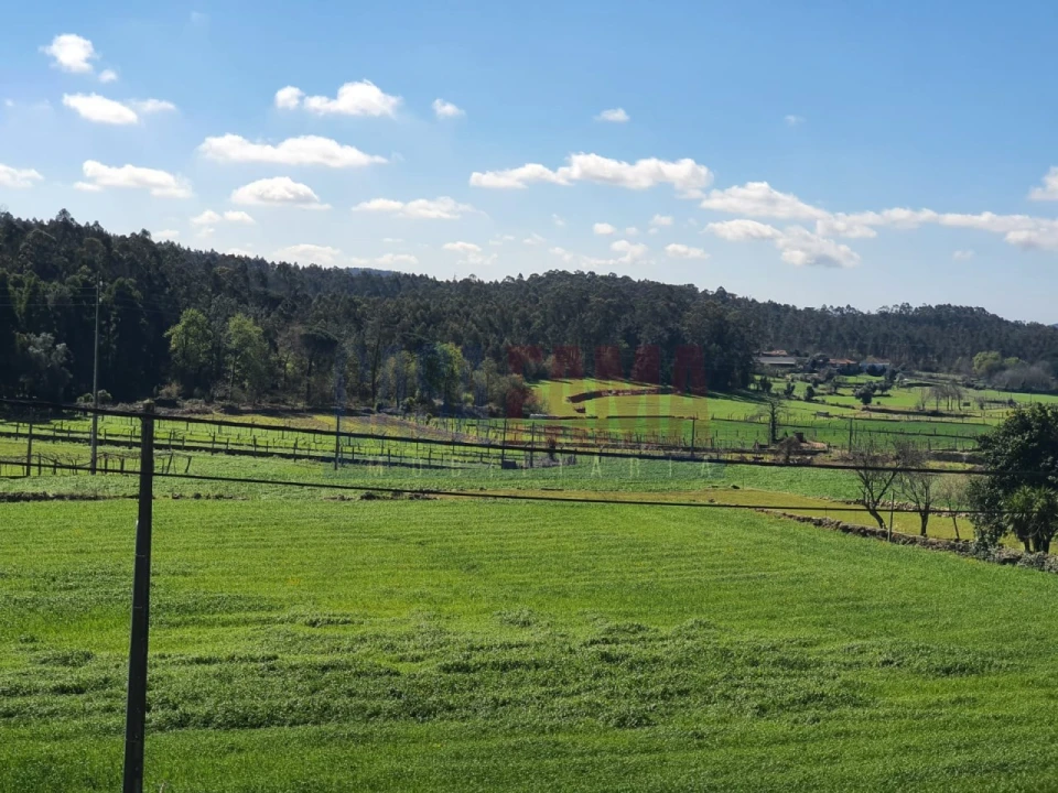 Terreno para Venda em Viatodos, Grimancelos, Minhotães, Monte Fralães Foto 2