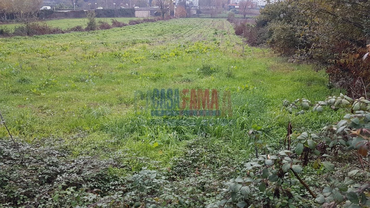 Terreno Agricola ou Rústico para Venda em Ribeirão Foto 4
