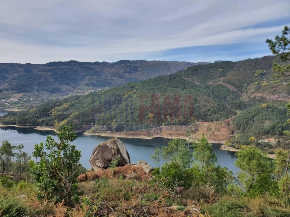 Terreno para Venda em Vilar da Veiga Foto 1