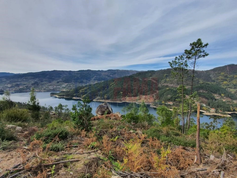 Terreno para Venda em Vilar da Veiga Foto 2