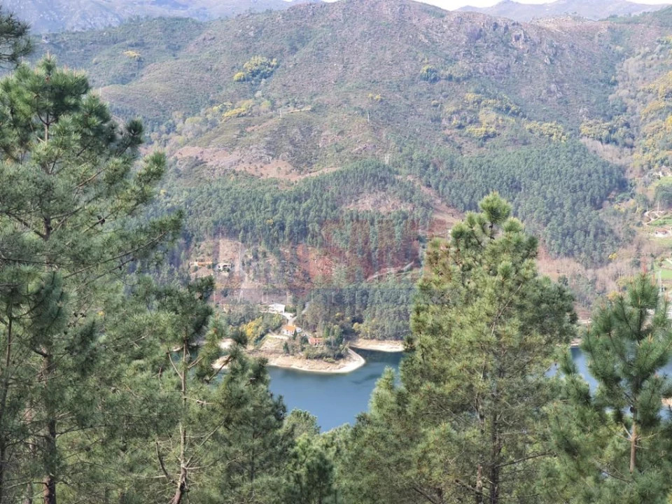 Terreno para Venda em Vilar da Veiga Foto 4