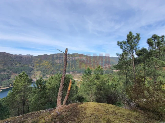 Terreno para Venda em Vilar da Veiga Foto 8