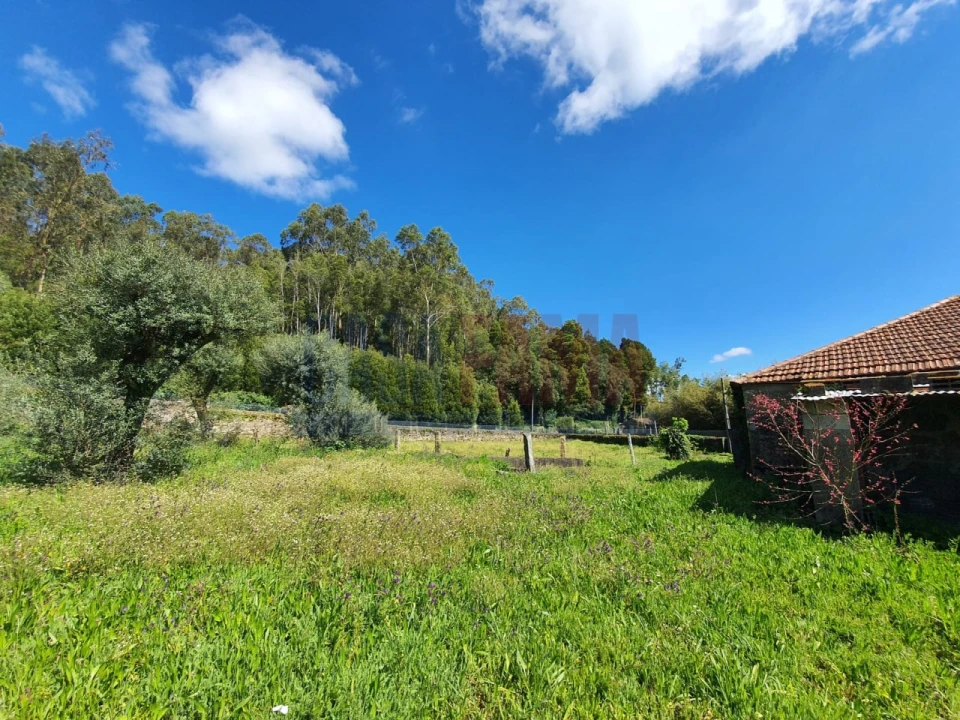 Quinta T4 para Venda em Viatodos, Grimancelos, Minhotães, Monte Fralães Foto 19
