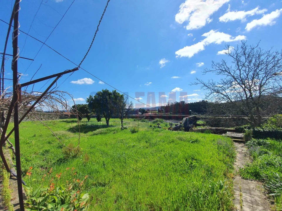 Quinta T4 para Venda em Viatodos, Grimancelos, Minhotães, Monte Fralães Foto 23