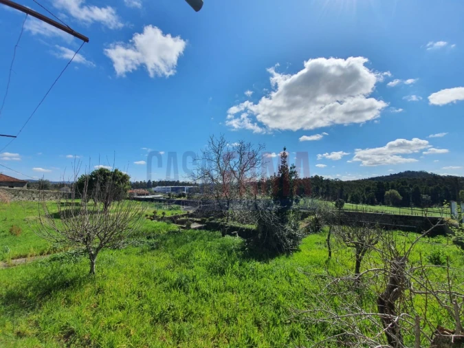 Quinta T4 para Venda em Viatodos, Grimancelos, Minhotães, Monte Fralães Foto 11