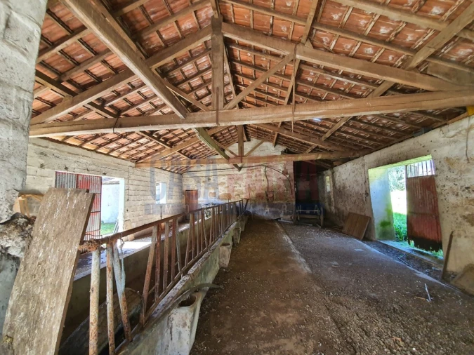 Quinta T4 para Venda em Viatodos, Grimancelos, Minhotães, Monte Fralães Foto 17