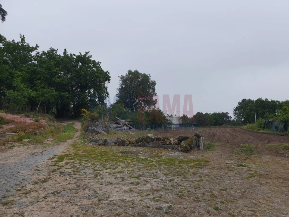 Terreno para Venda em Carvalhas Foto 2